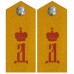 Погоны нижних чинов 13-го,14-го,15-го и 16-го Гренадерских полков Русской Императорской армии, обр. 1864 г.